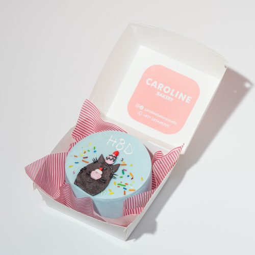 Feline Birthday Bento Cake