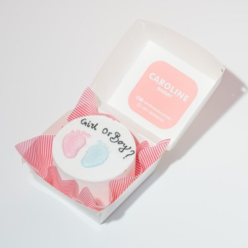 Gender Reveal Bento Cake